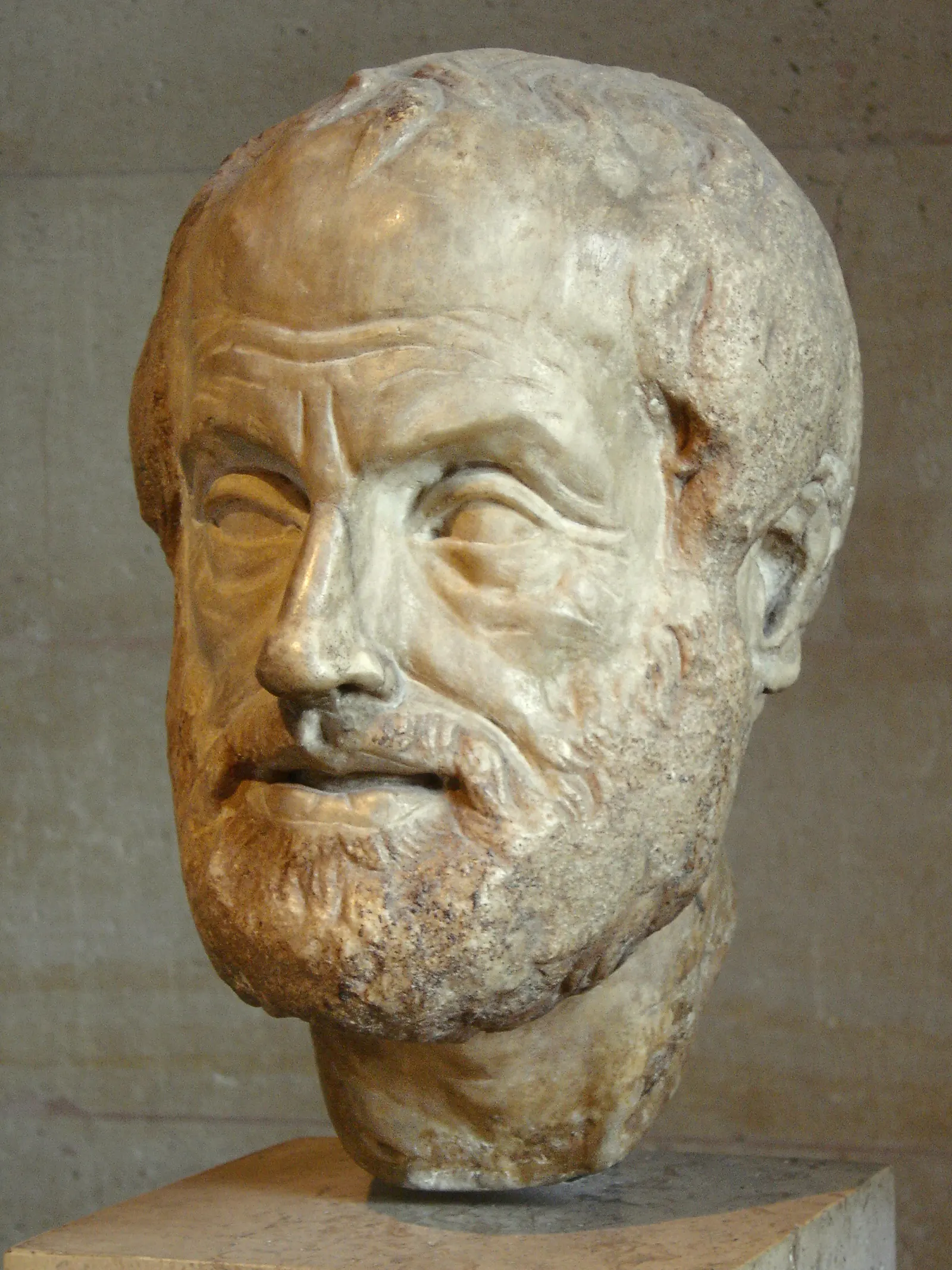 Marble head of Aristotle on a stone base against a museum wall